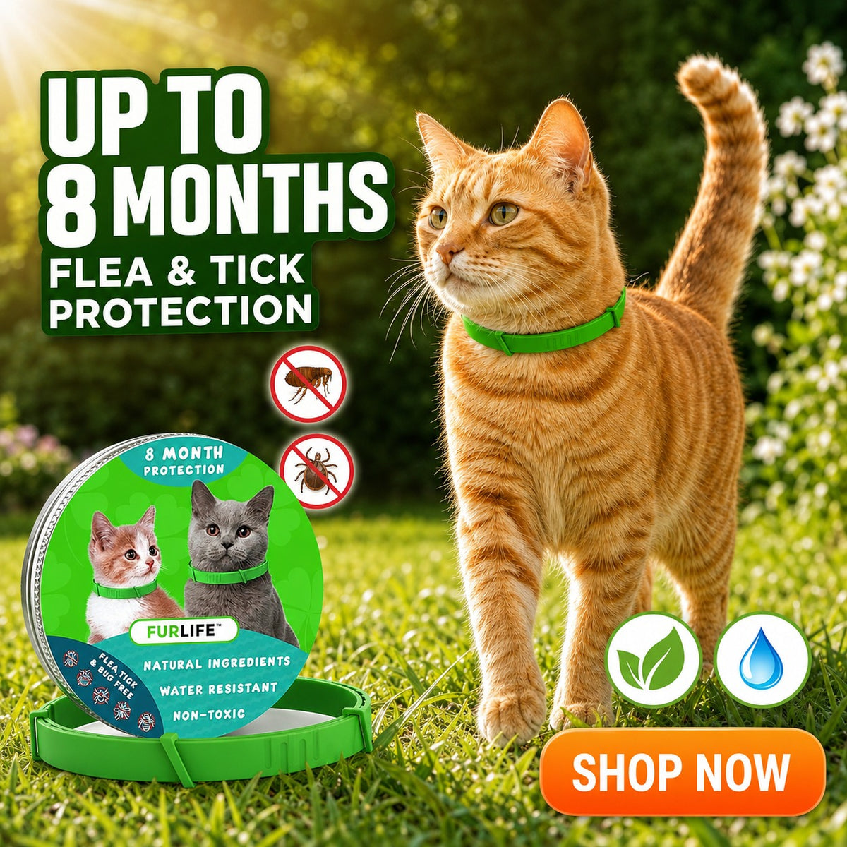 🛡️ Everyday Flea & Tick Defense for Cats