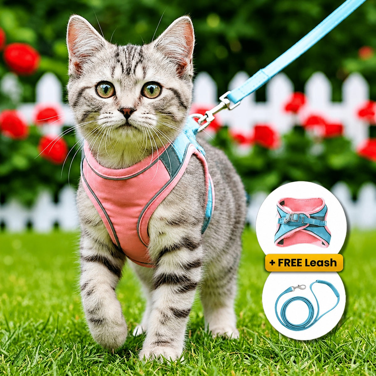 Escape-Resistant Cat Harness & Leash Set - Comfortable Adjustable Vest for Safer Outdoor Adventures