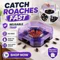 Reusable Roach Trap