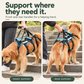 Sky blue full body dog support harness — support