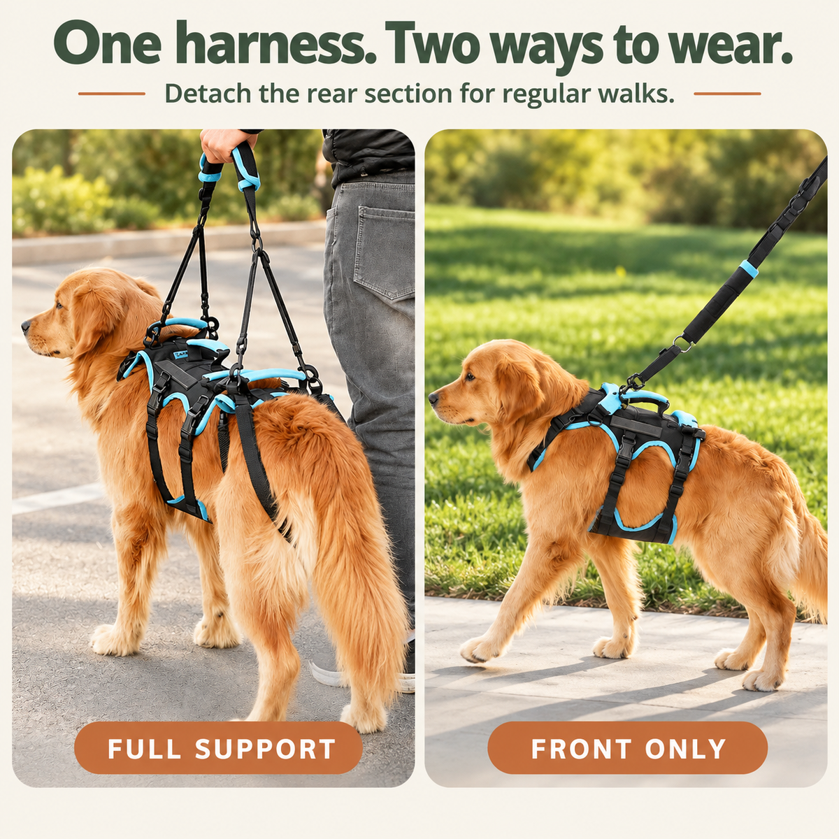 Sky blue full body dog support harness — versatile