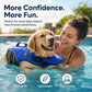 Dog Life Jacket with Chin Support