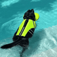 Dog Life Jacket with Chin Support