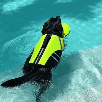 Dog Life Jacket with Chin Support
